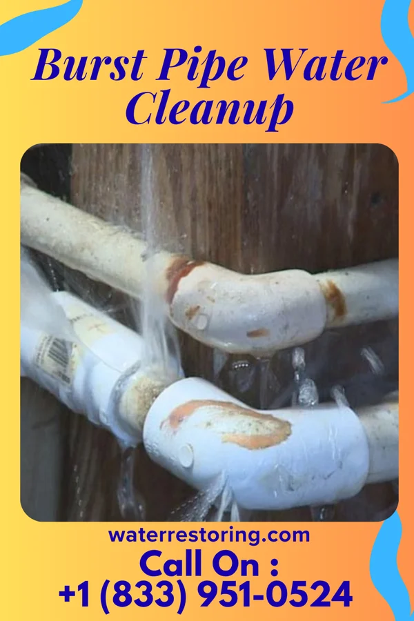 Burst Pipe Water Cleanup in Grandview, WA