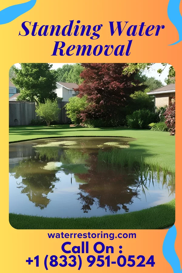 Standing Water Removal in Grandview, WA